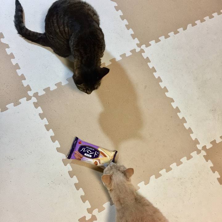 29c7b734 5c30 4819 a3d9 40afaf77f6d7 1507713036753