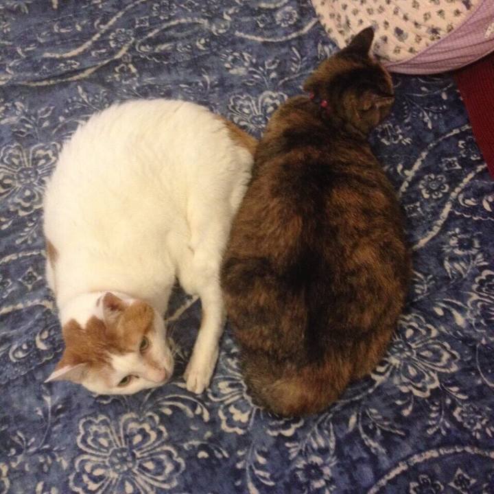 29c82dca a618 48e7 8c0c 2ddfa9dfa238 1516591924083