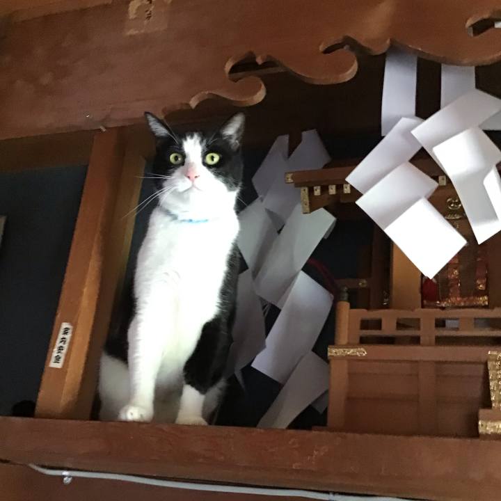 29c838c1 e8be 4295 a506 0d975675a7f9 1748865627651