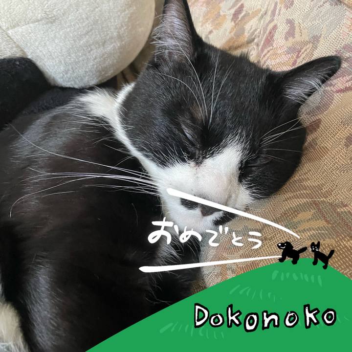 29c84206 dc33 482b a1ef d755d16ab437 1685940032733