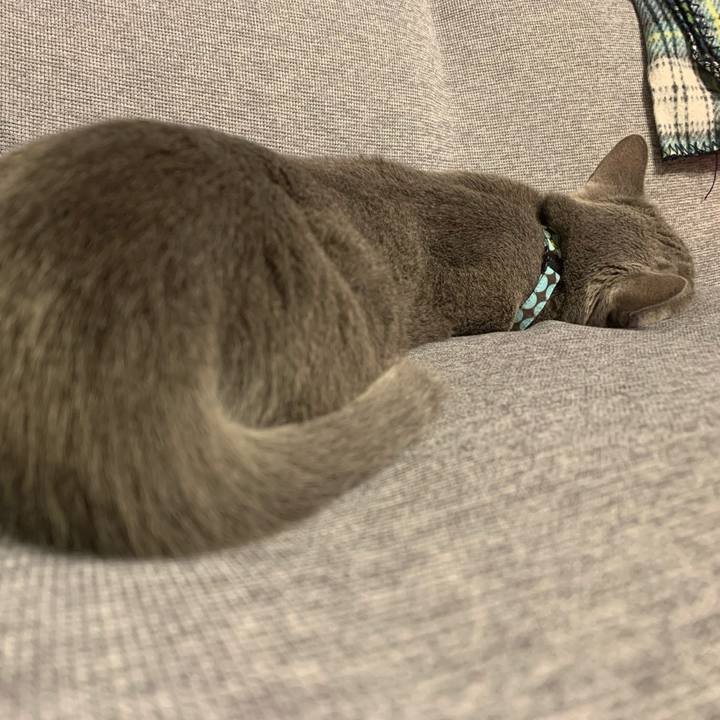 29c86f49 27ba 4569 993e 356ad03e5199 1633265284208