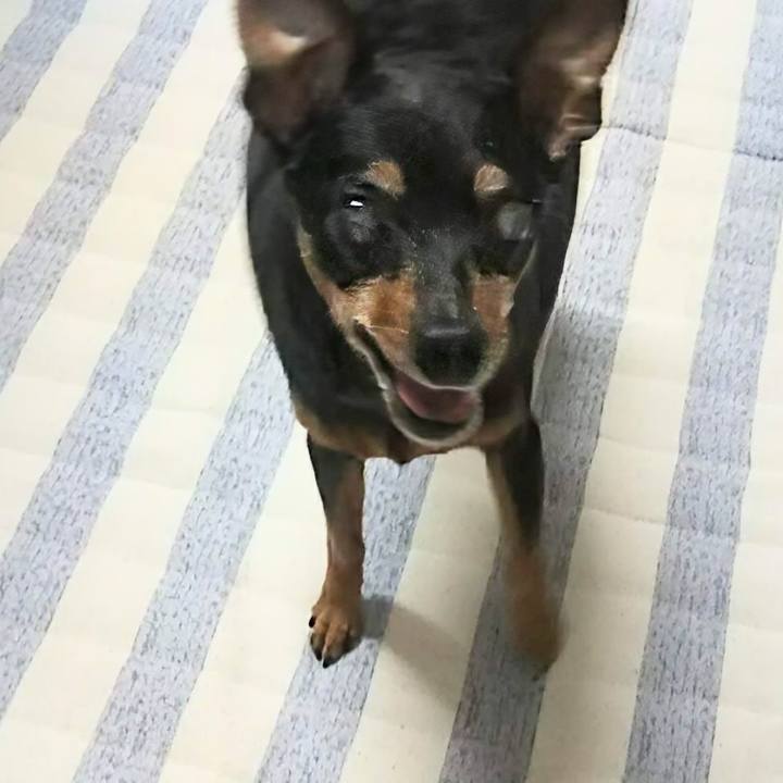 29c874c8 1e2f 4cc2 af90 891bfb945049 1772747437217