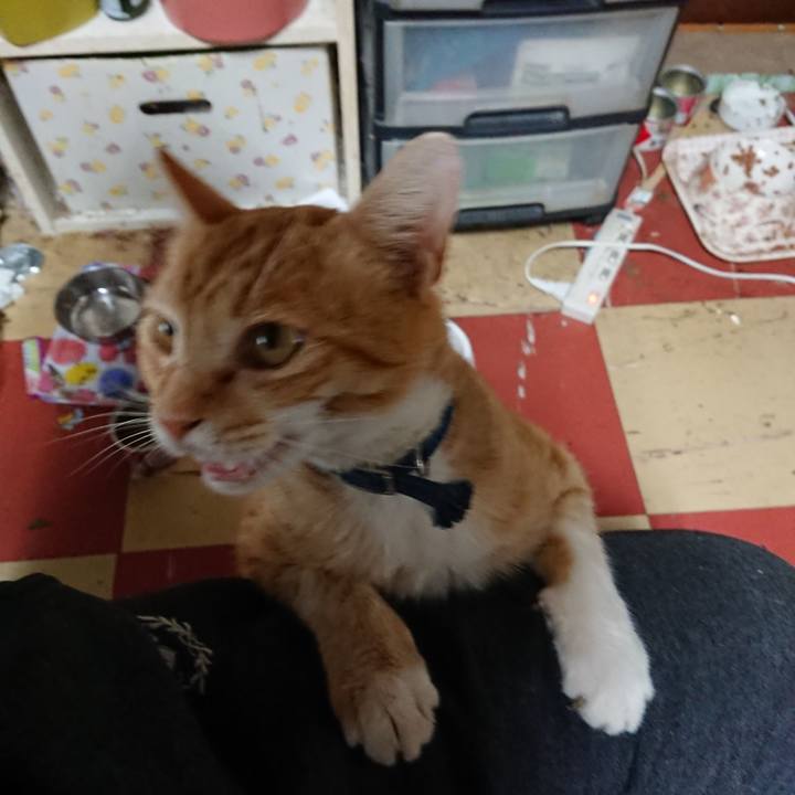 29c87a67 973f 477e aad3 51cf6003dc75 1560115678837