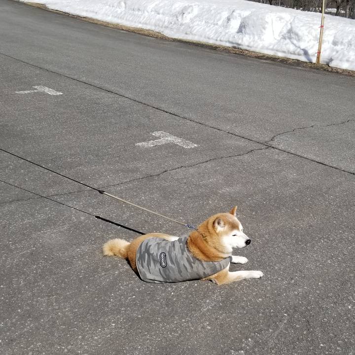 29c891b8 5676 4294 94c4 3ddee214cd55 1678768546053