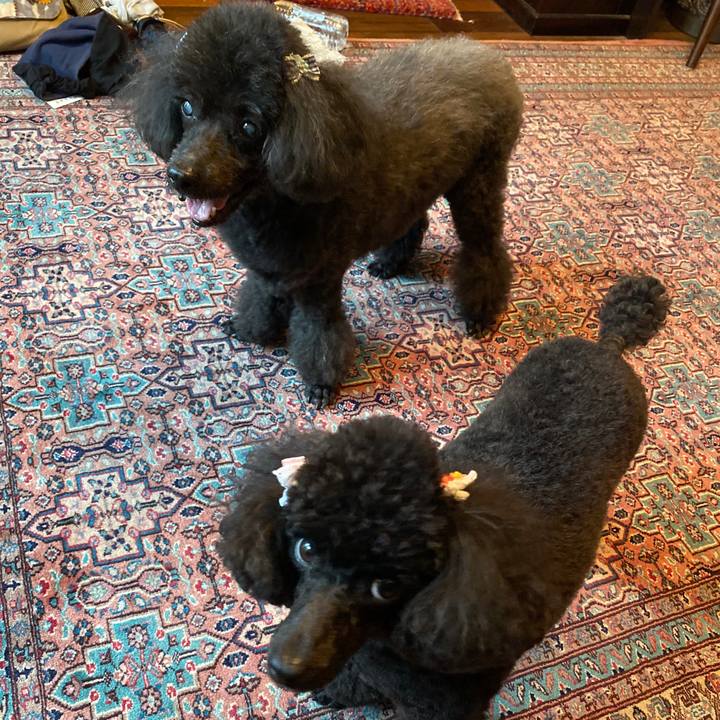 29c8be42 942f 46fd 9607 dbe6b4ad848b 1594335737509