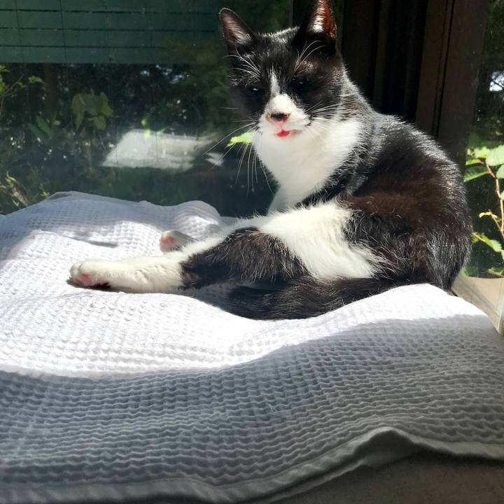 29c8f0b6 fd21 4ed5 80e4 be018471dd23 1560745288104