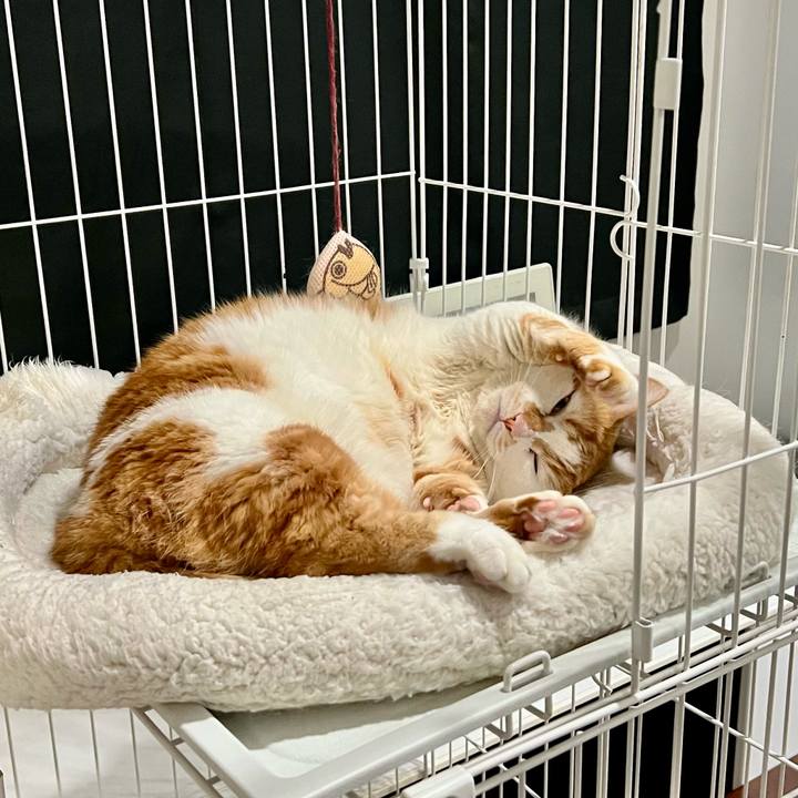 29c90666 d312 4295 aa9b 60a5eab9d4bd 1772854539103