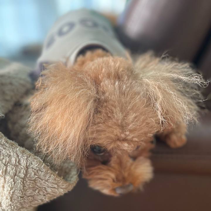 29c93bdd 0436 46a9 b8c4 0403e6658187 1703289589380