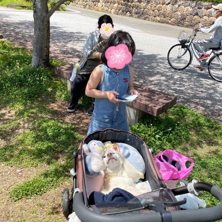 29c941a3 da13 4a21 90b4 594247f004d2 1681669820664