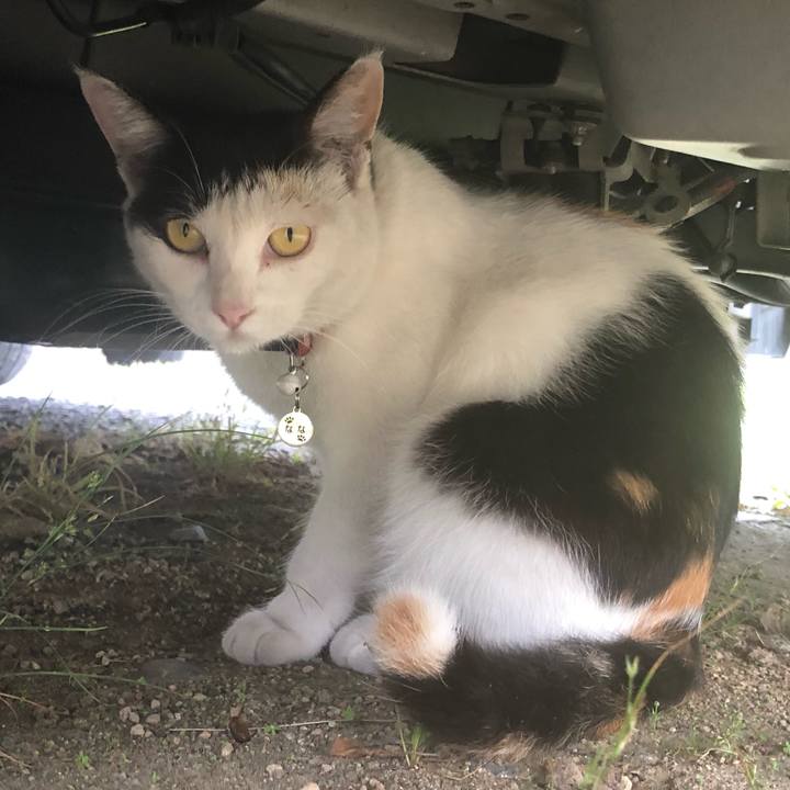 29c9629d 8822 423f 8a4c d023abe4a639 1625266227026