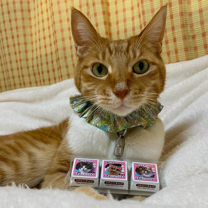 29c98de7 e814 4055 8325 41ff27108527 1774090619673