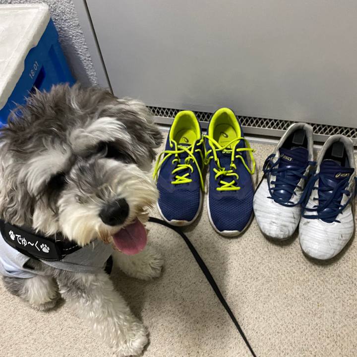 29c99a27 d5b3 40c8 8f65 814bcf54eade 1593357320462