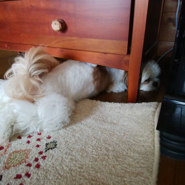 29c9ec1c a241 44c9 b26f 69263d8681ac 1532493031918