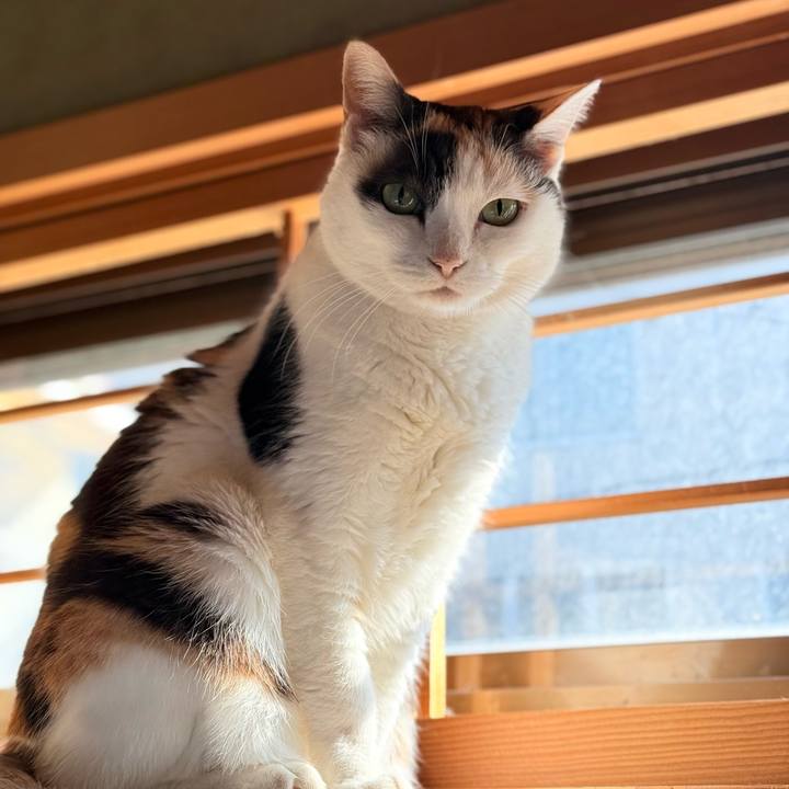 29c9fef9 d8c2 4786 86e7 592c79094bef 1775355968265