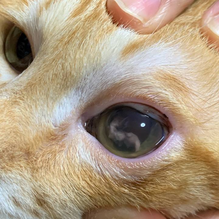 29ca065d 507f 4ce6 8c0e 796a890f671e 1605793635759