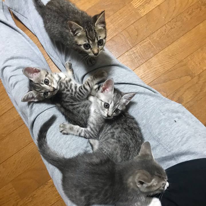 29ca1c2a 0cfd 44c7 a5e6 74f8339a584d 1561354876879