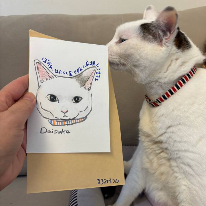 29ca1c52 f665 4e8a a318 4318e5bffa01 1770742613607