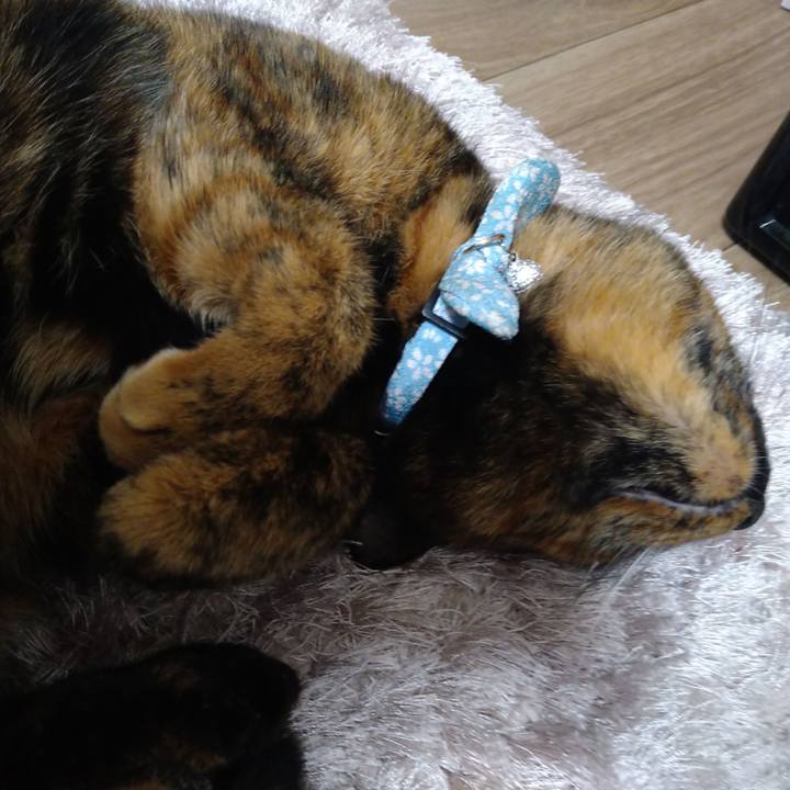 29ca6357 0cb2 44d6 98e3 2bc2601ced58 1677986511807