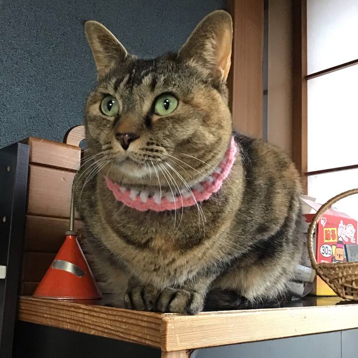 29ca85c7 d13d 4473 9d66 8a48b666aa81 1743837968689