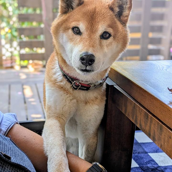 29ca90b2 6c7d 4309 8448 0fa5efdeb9c9 1744628388010