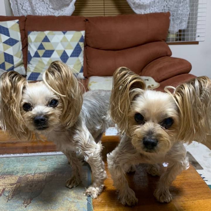 29cab114 6b0d 48e7 9229 eb40c552825a 1637140743636