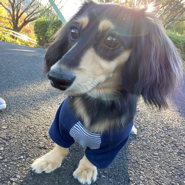 29cab309 b20f 4fff 8cbd d8fb7dceaf9d 1697944418755