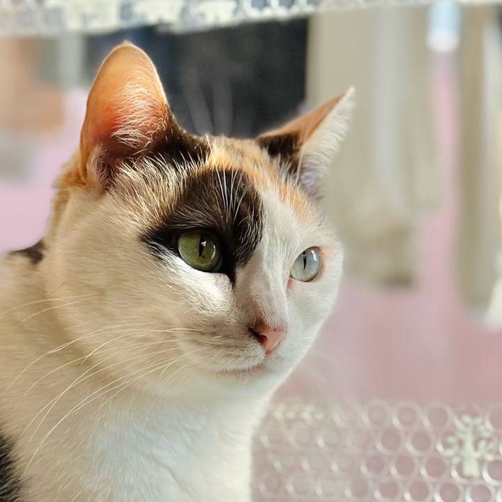 29cabe92 5874 4e61 ad23 095bf3fd7d23 1701133901731