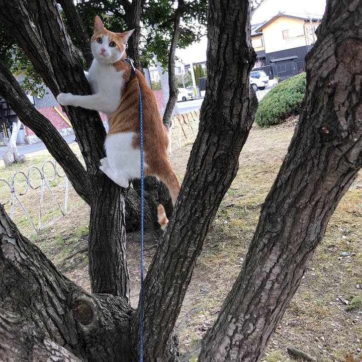 29cac0c1 06f4 495d 8962 5a4e741c7f67 1553318058810