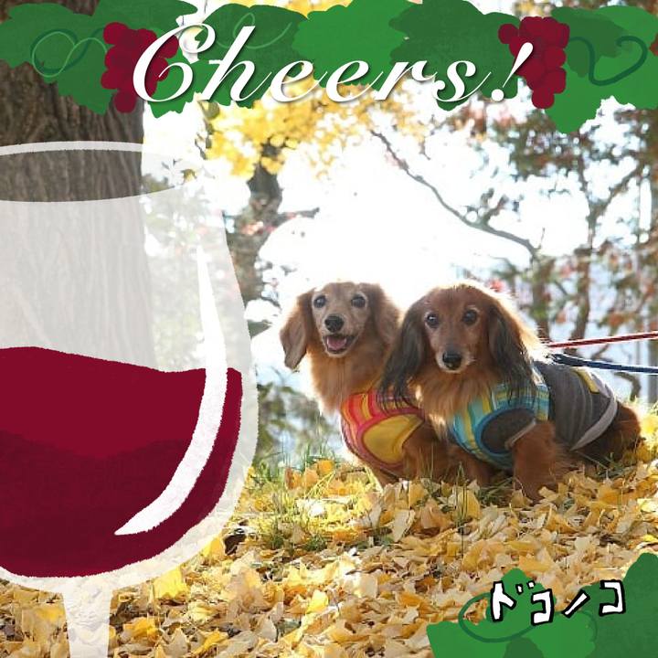 29cacca9 6427 4149 997a fac55aeeb680 1761918681298