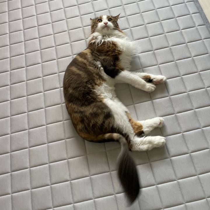 29cad060 2ade 4efd b66c 51a9169efe7d 1690582815232