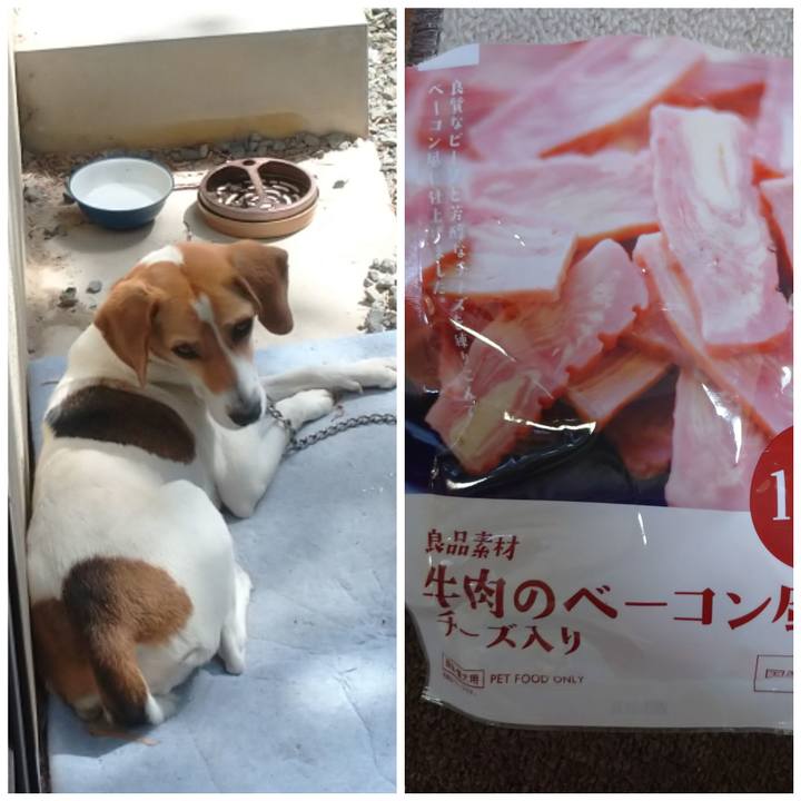 29cb012c 2c16 401d 8ff4 cb2991edf77d 1593701885929