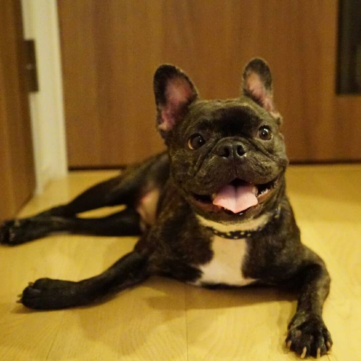 29cb0355 f54b 4462 b1ba 05c4bad10b40 1531228351847