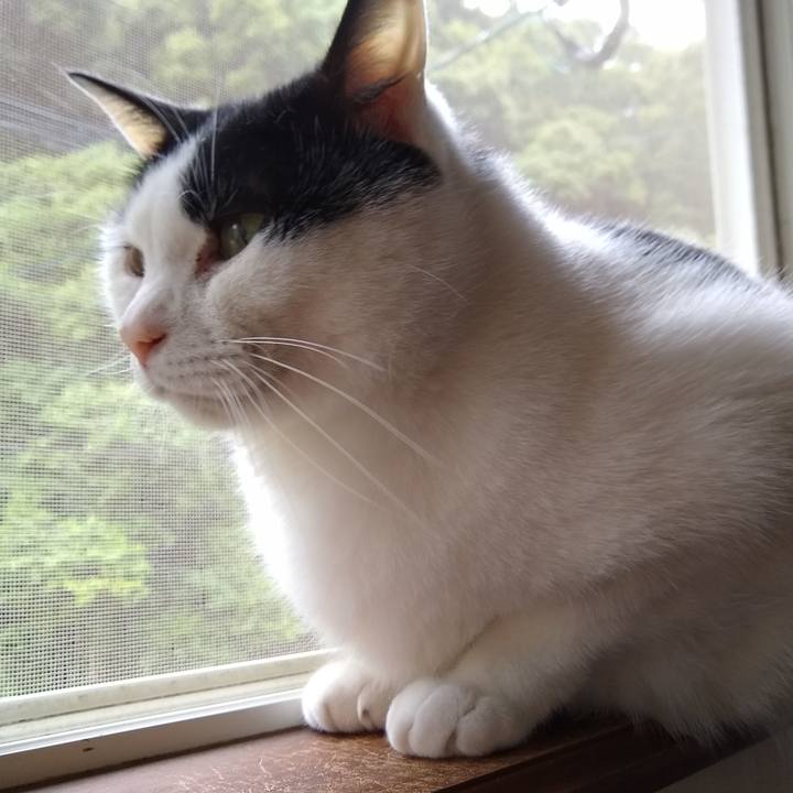 29cb098f c879 40a4 a8a0 e1a6e9fb2cee 1558530001686