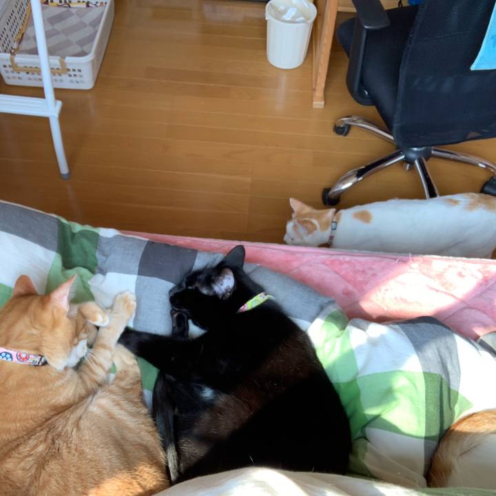 29cb0ac7 e603 4479 925f 1d1cdddfe689 1554614953602