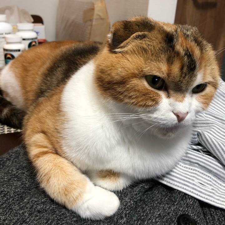 29cb5bb7 fb6e 47de 9b9b 2b17c1654b29 1587171727997