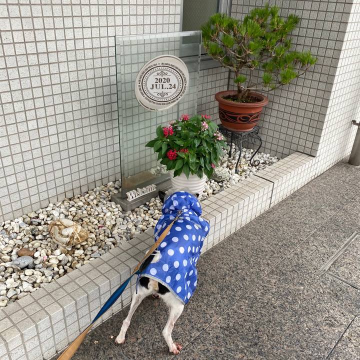 29cb75ef 8b5b 4178 aa95 05bc7001079e 1595580974648