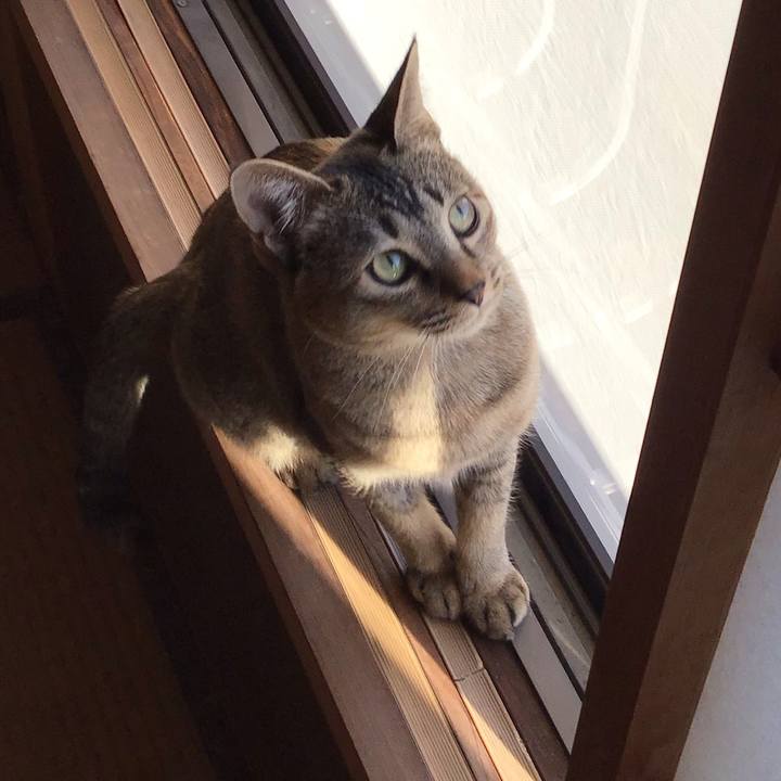 29cb8079 3ddb 495e adce a5f98672d564 1578022075924