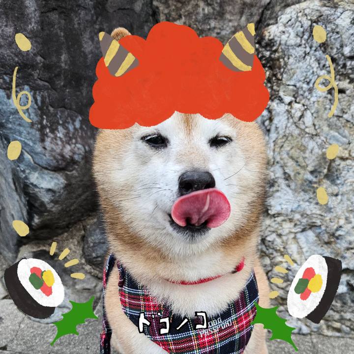 29cb8ba2 5a0e 49fe b76a ef785a935238 1706997620287