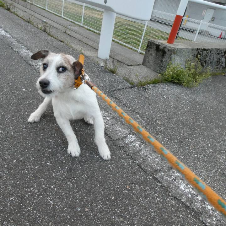 29cb92a4 97db 4bbf b0d5 884928d659f5 1586174981547