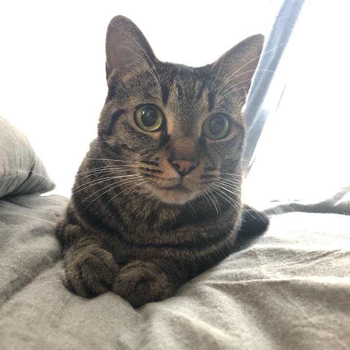 29cbef91 758c 43ee aa0d c204a4bfeabd 1567381947481