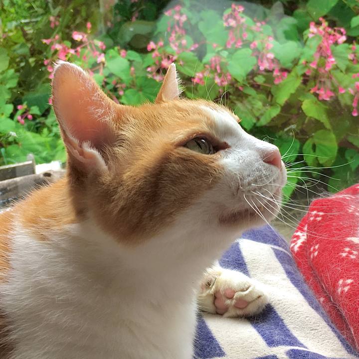 29cc1cf7 70eb 4b4a ab84 667c16eaa398 1600328458049