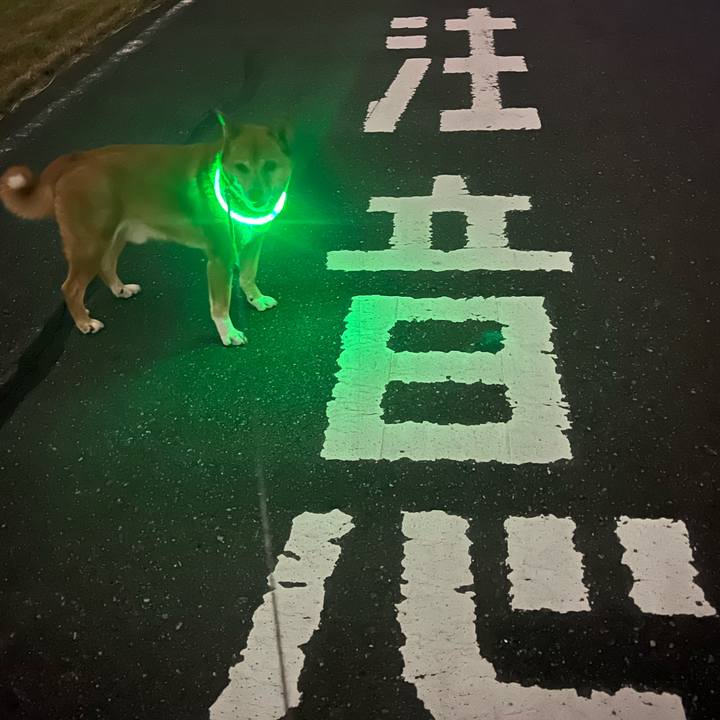 29cc2bd9 29dd 422e a7d0 702fbe1d7afa 1763127628924