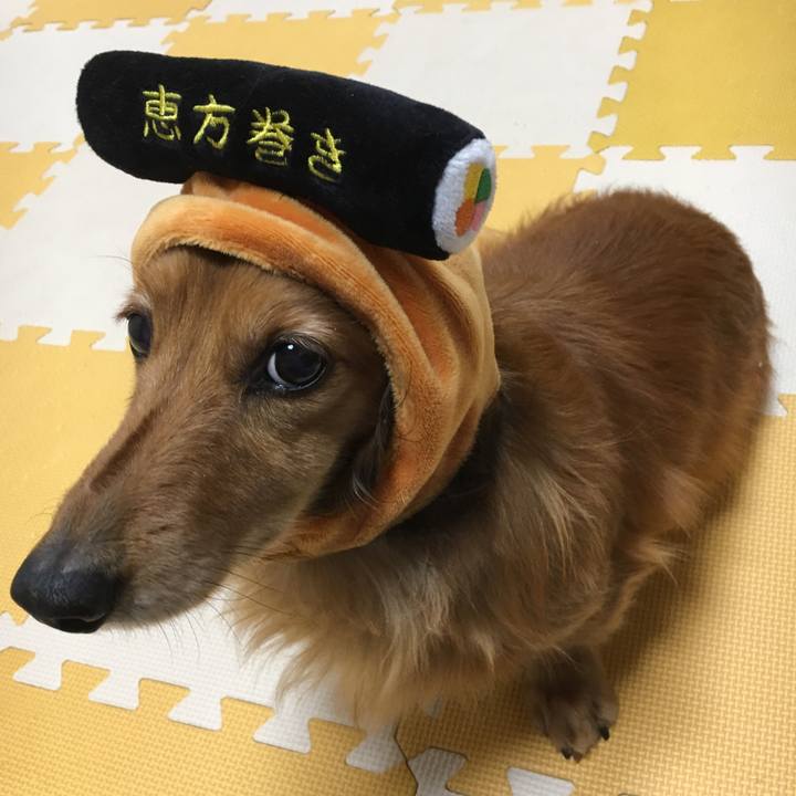 29cc6511 2898 42df 9b66 b2edd7ebb137 1517655307457