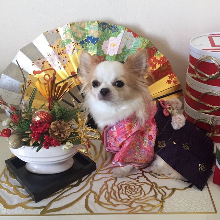 29ccc218 f441 4dbf ba54 dedbe450086a 1570147301330