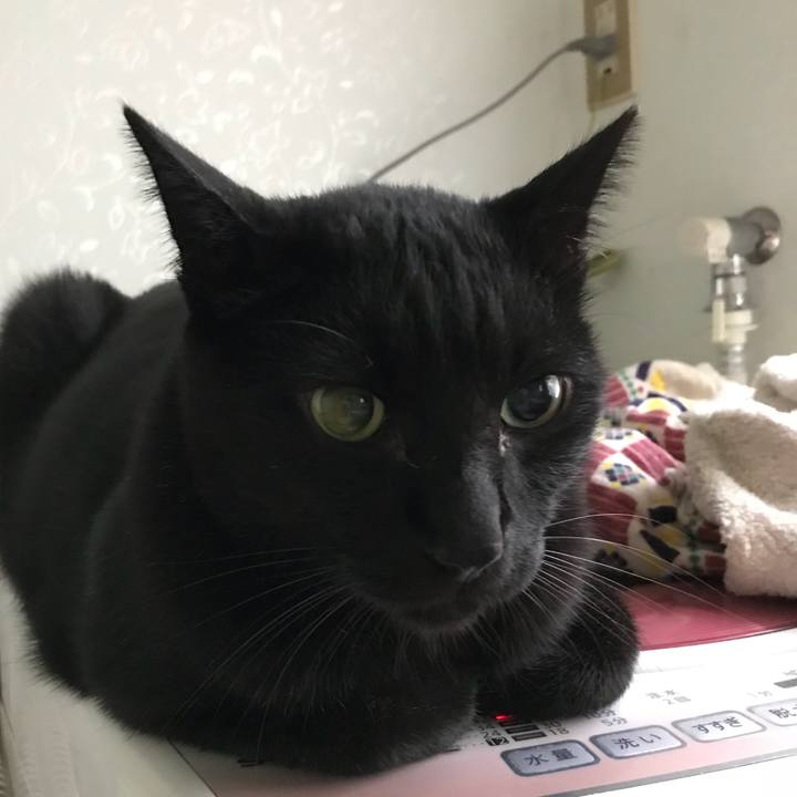 29ccd61b 339e 4544 a553 fa72029ab545 1512005958525