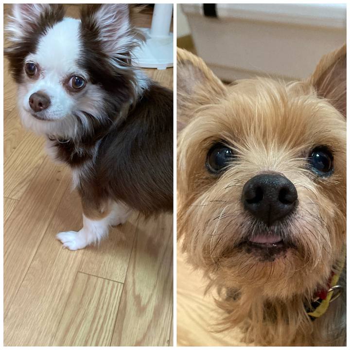 29cd4eaf c82b 4c95 93e8 2ef61d6e4d3c 1652913507451