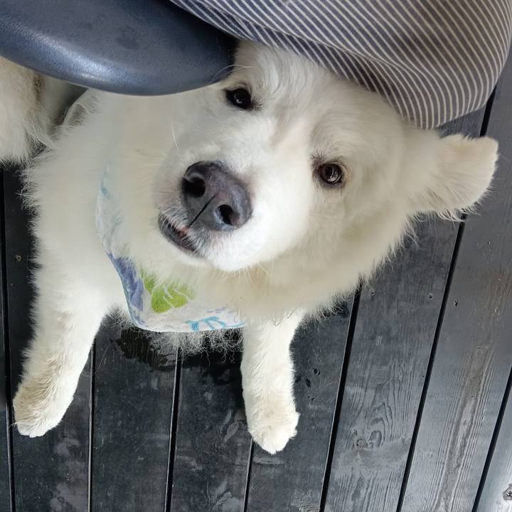 29cd51cf 9f59 4ddc a44f 18d4c1628148 1717303106861