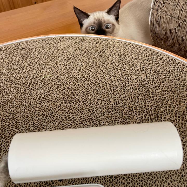 29cd5d65 f7fd 44f6 b8e3 dc6f6c118132 1694216186293