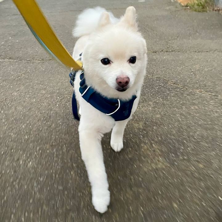 29cd6568 493c 41c7 abaa bc0d12a3346d 1760085851151