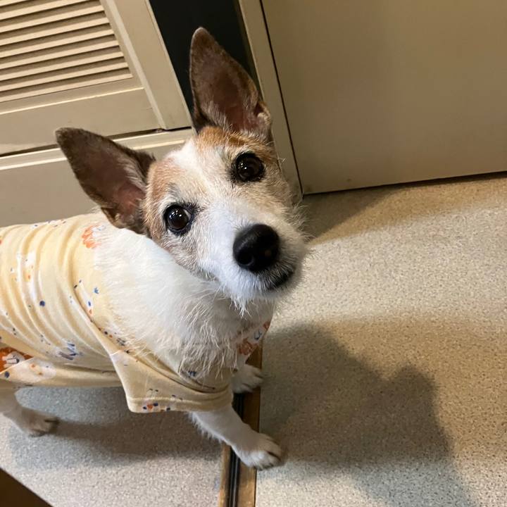 29cd67ce d0b8 437b 935c e4c071b5762b 1720232964816